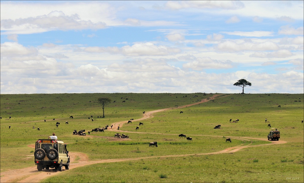 acomp Kenia 20111015 12225