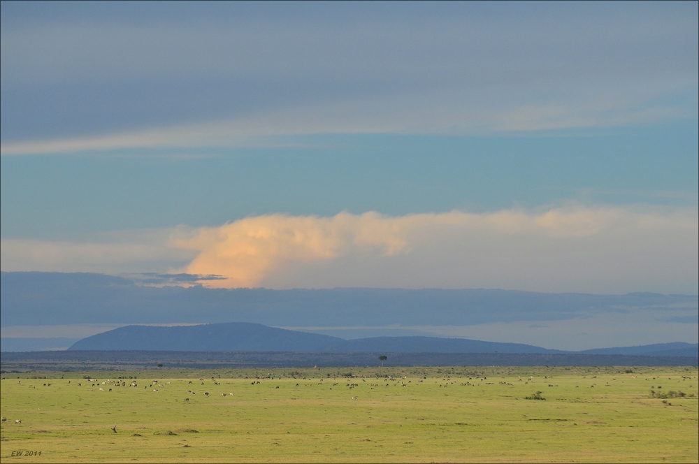 acomp Kenia 20111015 12527