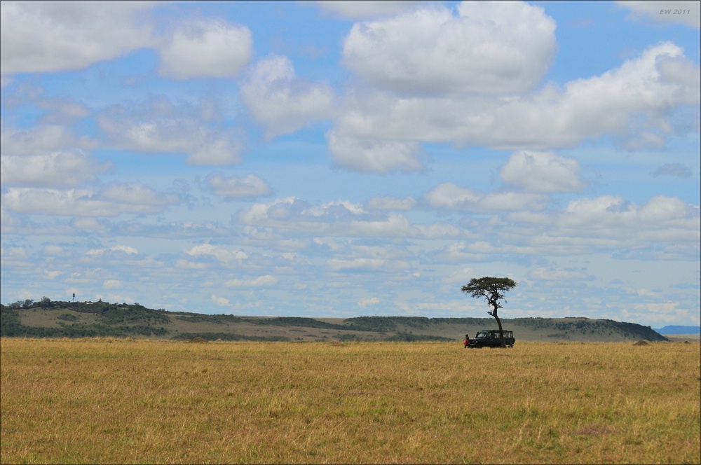 acomp Kenia 20111016 14327