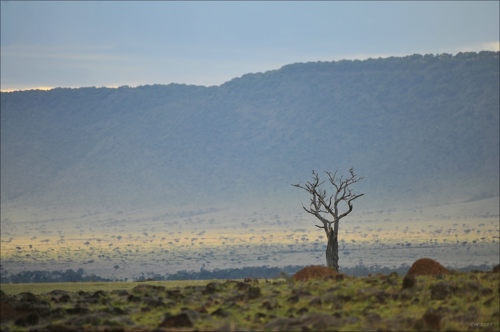 acomp Kenia 20111016 14889