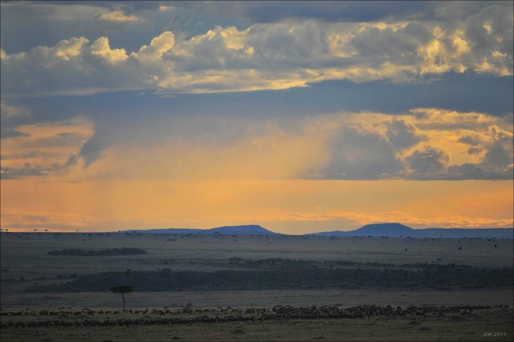 acomp Kenia 20111016 14921a
