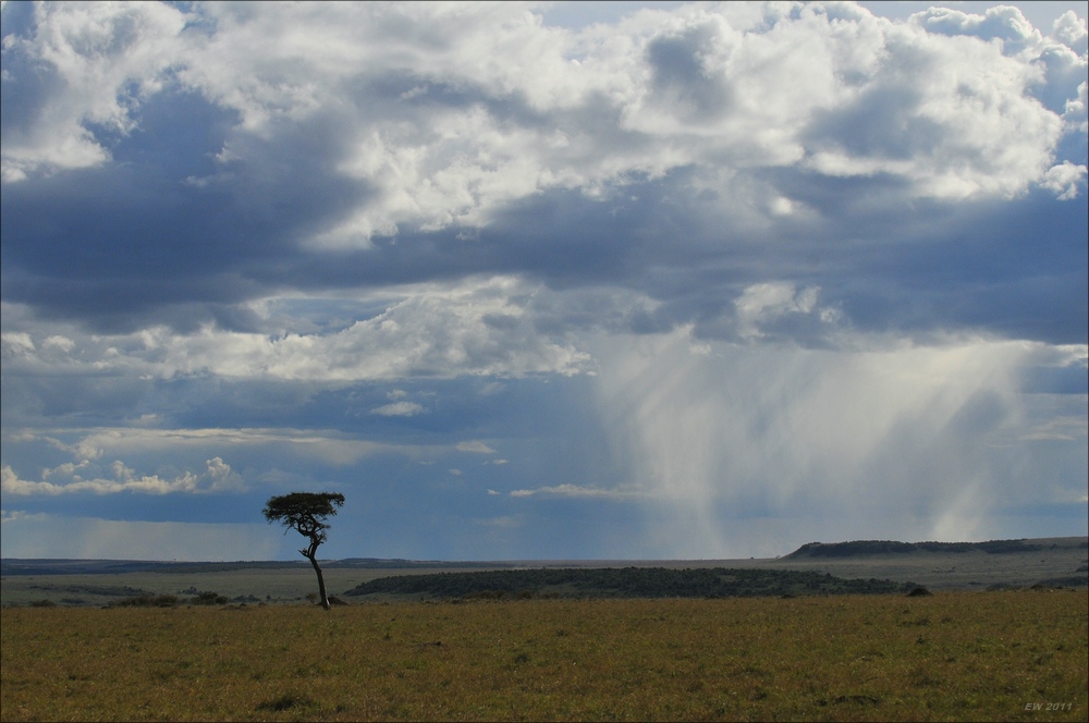 acomp Kenia 20111016 15190