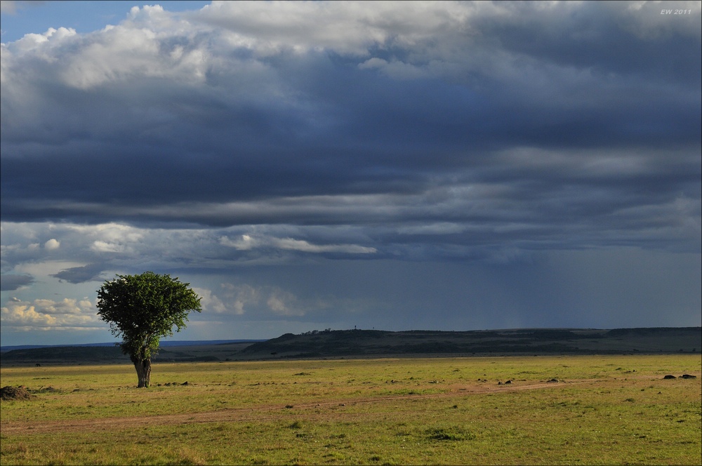 acomp Kenia 20111016 15295