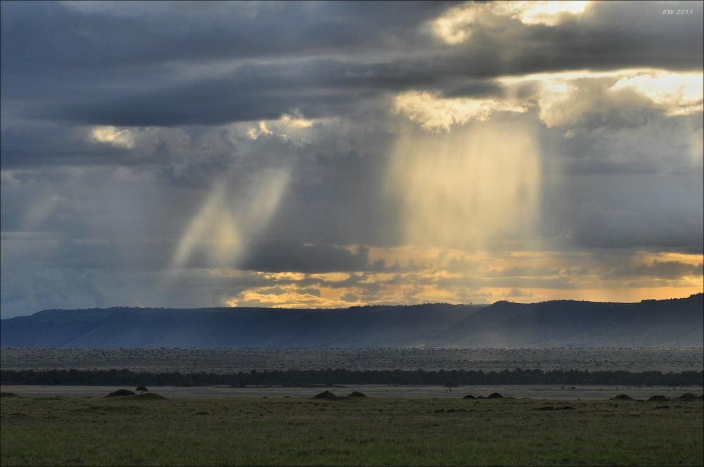 acomp Kenia 20111016 15316