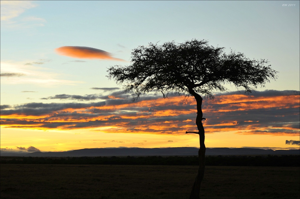 acomp Kenia 20111017 15424