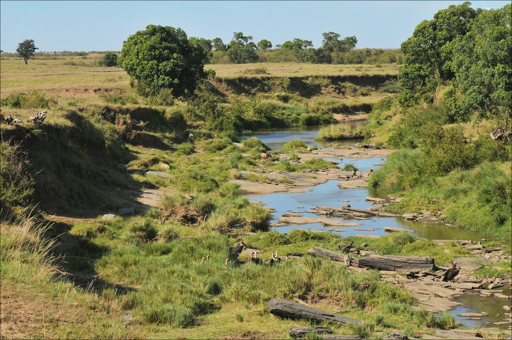 acomp Kenia 20111018 19455