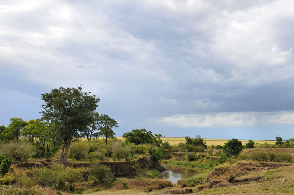 acomp Kenia 20111018 20734