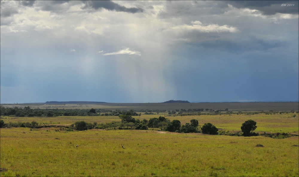 acomp Kenia 20111018 20765