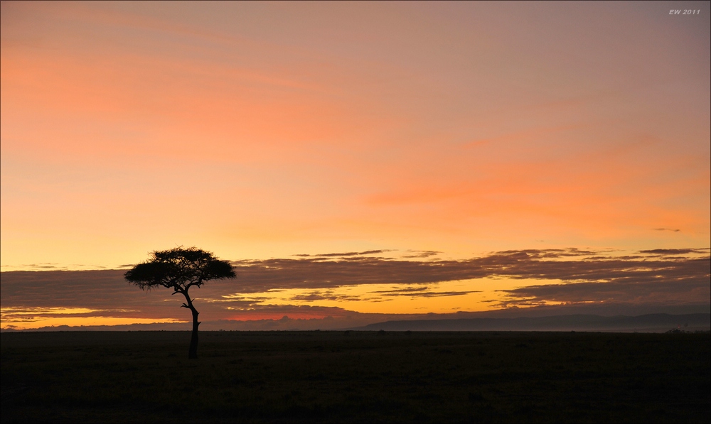 acomp Kenia 20111020 24967