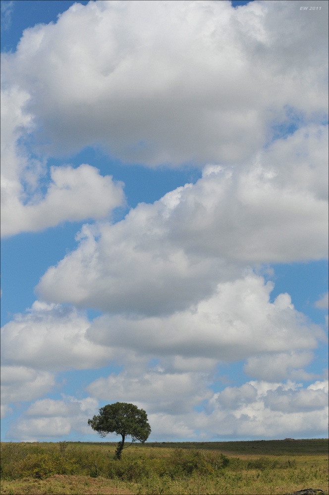acomp Kenia 20111020 26127