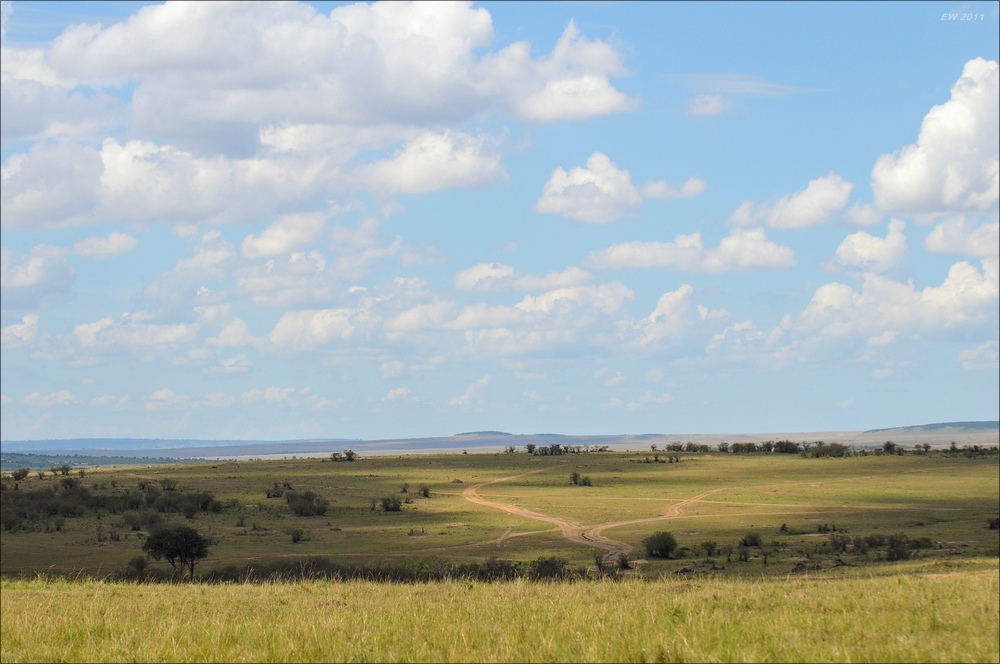 acomp Kenia 20111020 26138