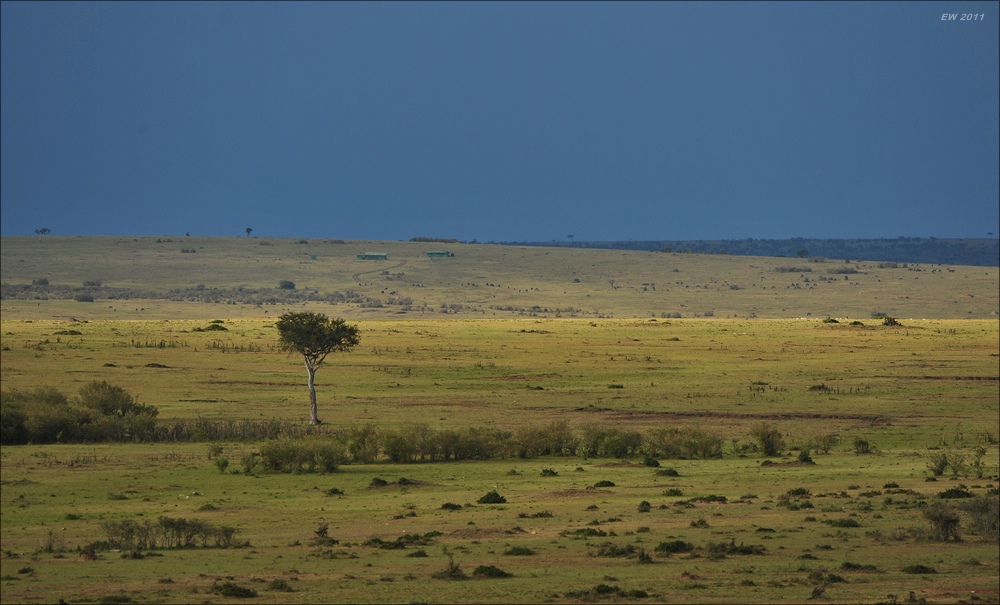 acomp Kenia 20111020 26659a