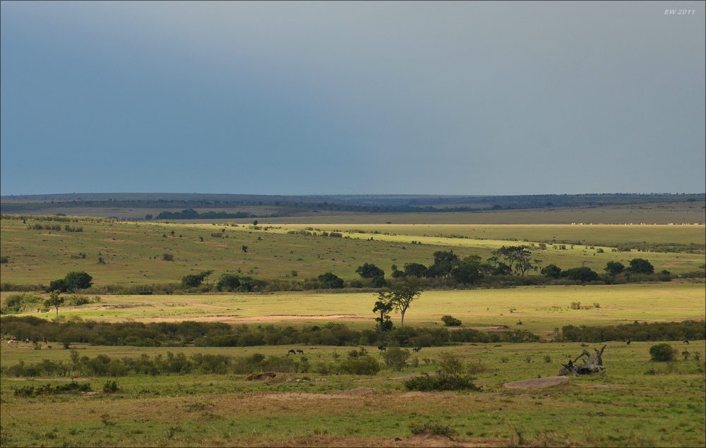 acomp Kenia 20111020 26855