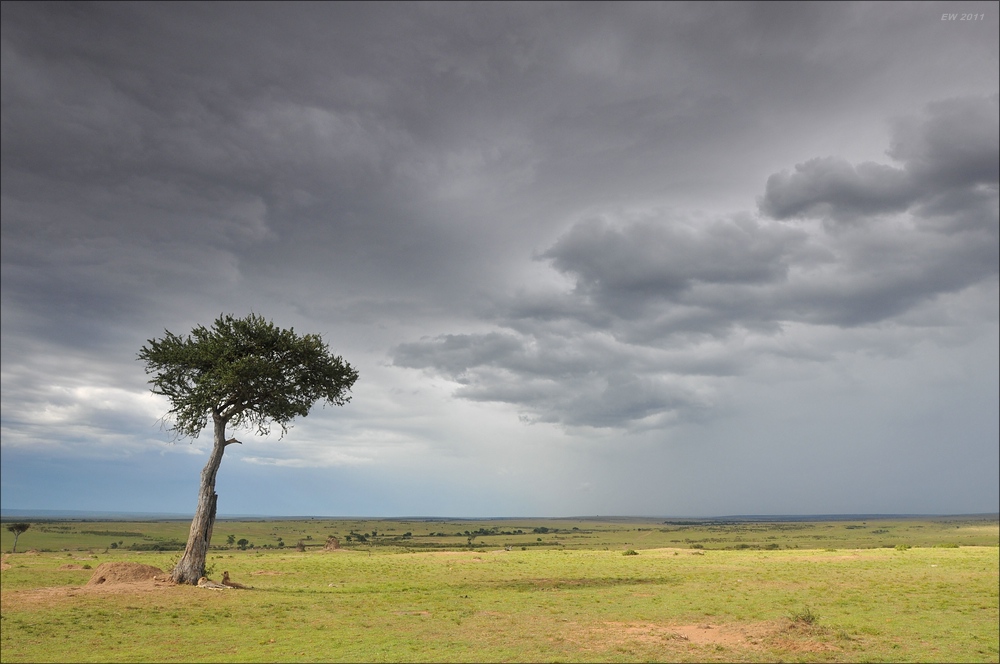acomp Kenia 20111020 26875