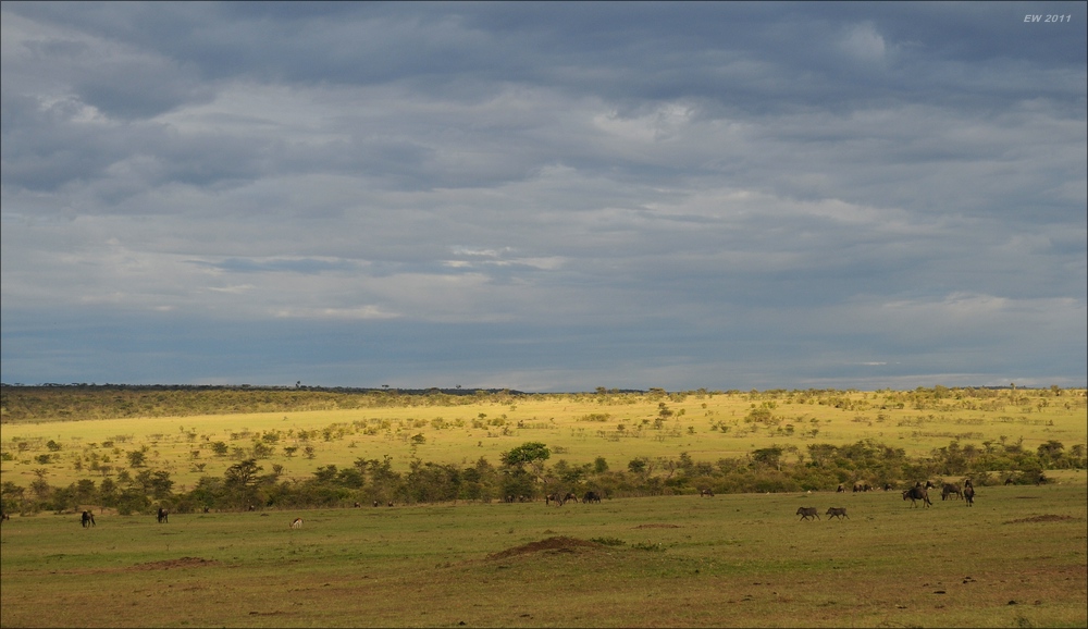acomp Kenia 20111020 26955