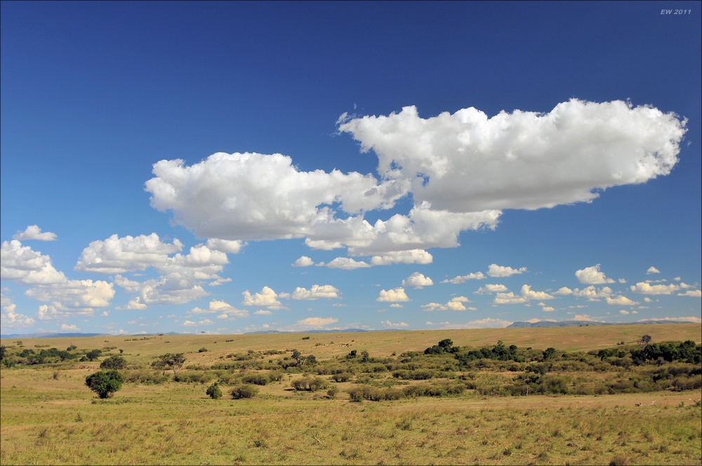 acomp Kenia 20111021 29228