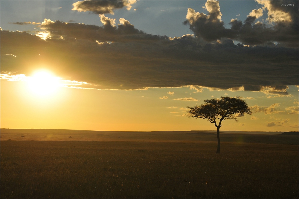 acomp Kenia 20111021 29303