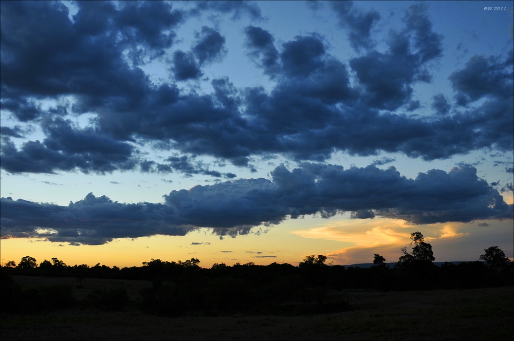 acomp Kenia 20111021 29331