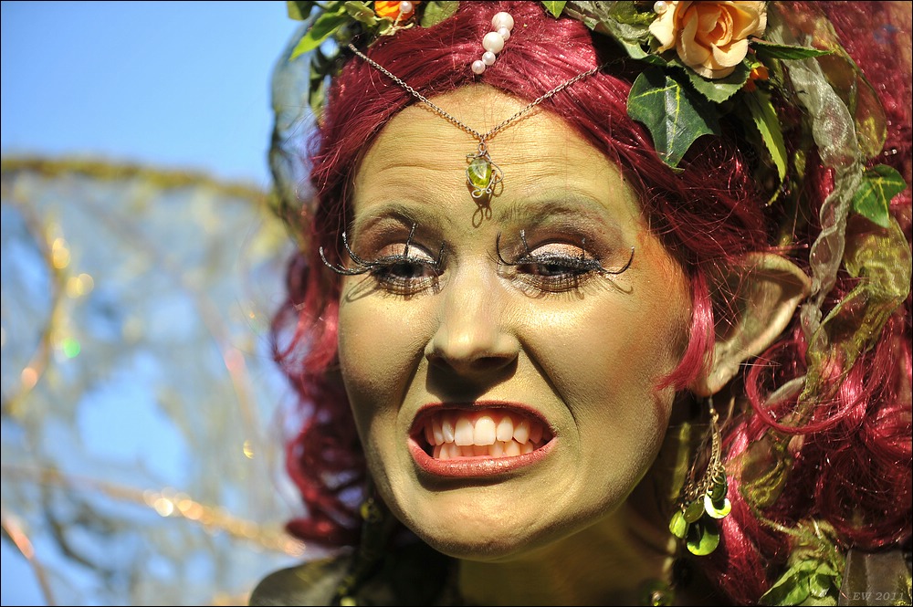 acomp maskenz 2011 1128