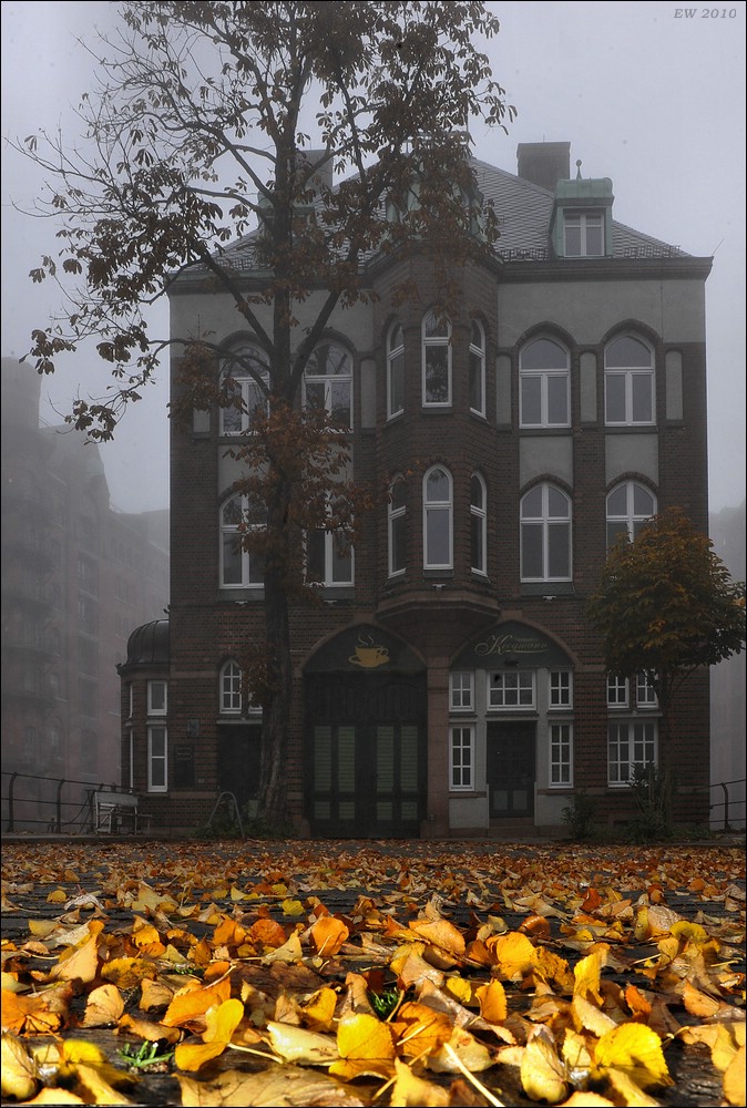 acomp nebel 0098