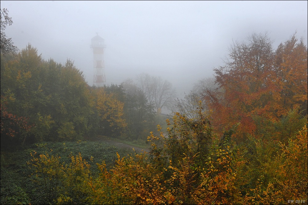 acomp nebel 0308