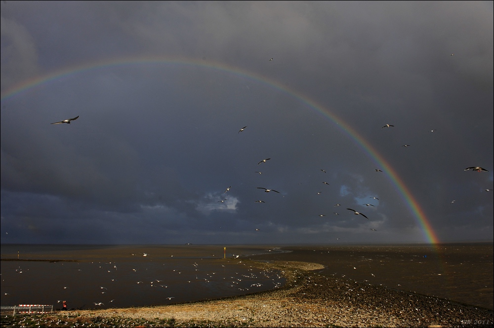 acomp Nordfriesland 20110515 1491