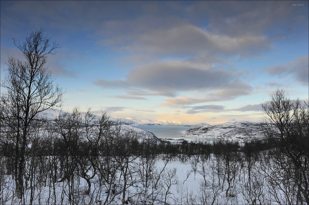 acomp Tromsoe 20120222 0830