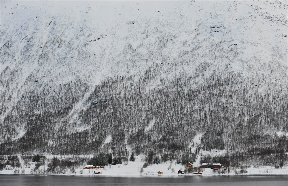 acomp Tromsoe 20120223 1171