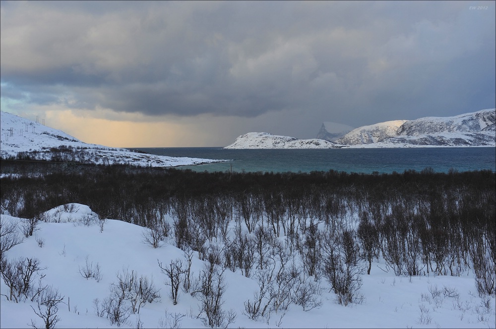 acomp Tromsoe 20120223 1306