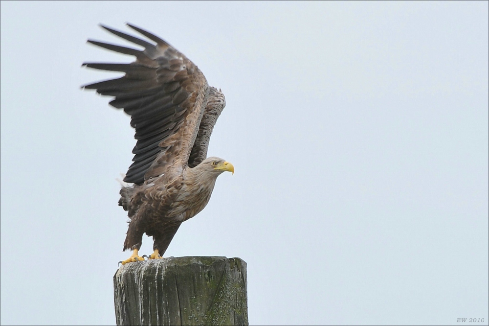 acomp usedom 0308b
