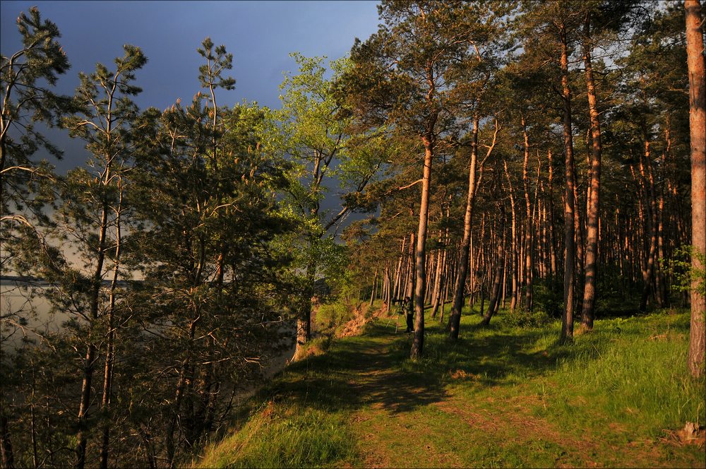 acomp usedom 2549