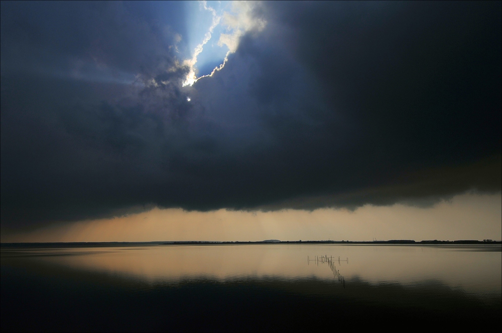 acomp usedom 2564