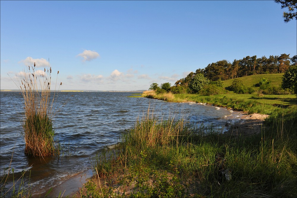 acomp usedom 2643