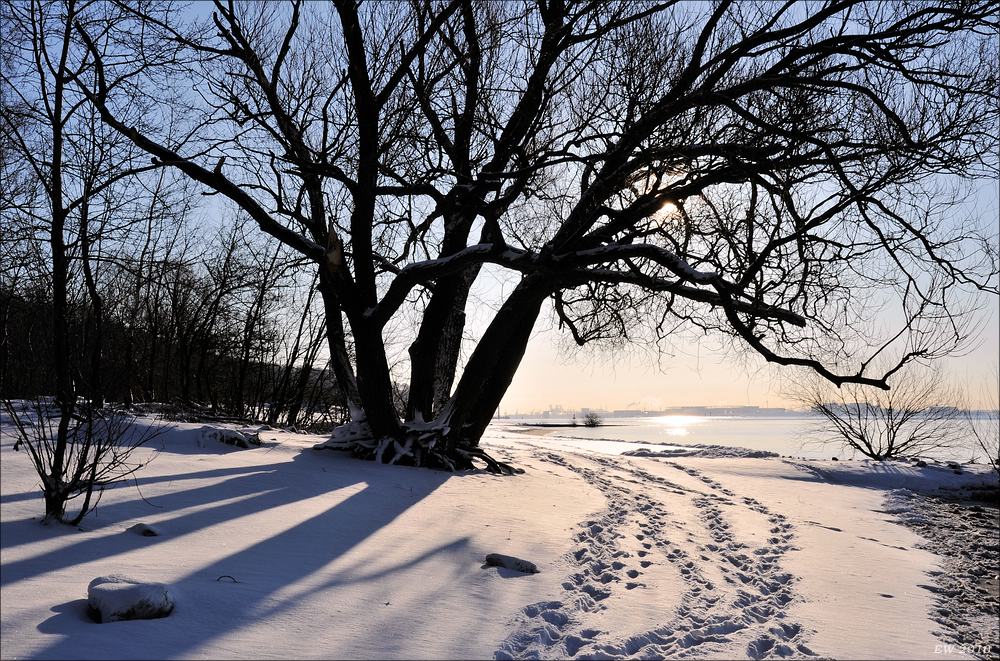 acomp winter rissen 0454