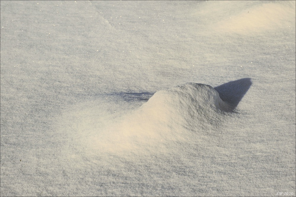 acomp winter rissen 0514