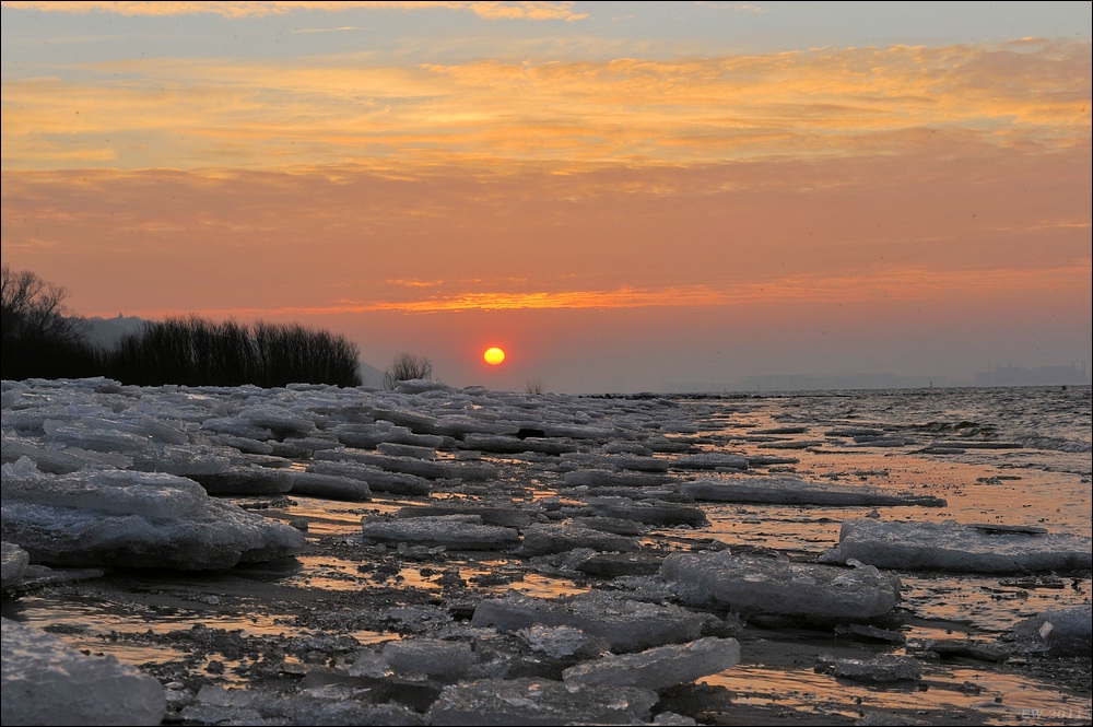 acomp wittenbergen 0312