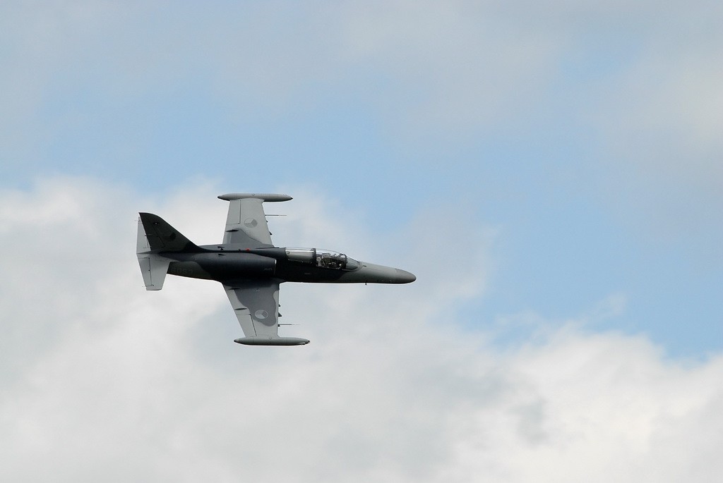 AERO L-159 ALCA 01