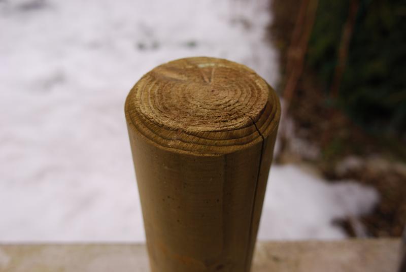 AF 20/2.8 D mit Seewasserschaden
nach Reparatur: Foto mit Exif-Daten (Fokus-Distanz 25 cm),
aus denen man sieht, dass es wieder einwandfrei funktionie