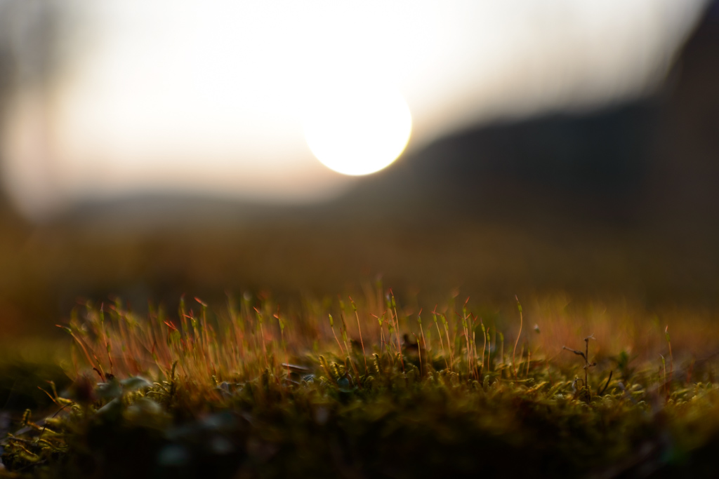 AF-S 35mm/1.4 G Blende 1,4