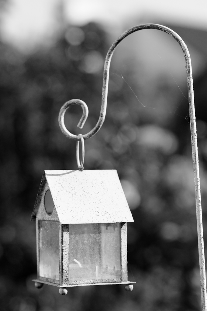 AF-S 85/1.4  f2.8 BW