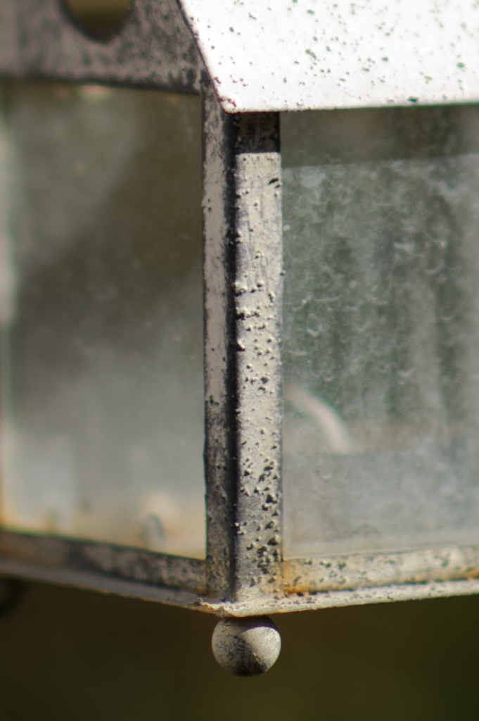 AF-S 85/1.4G f2.8 (cropped)
