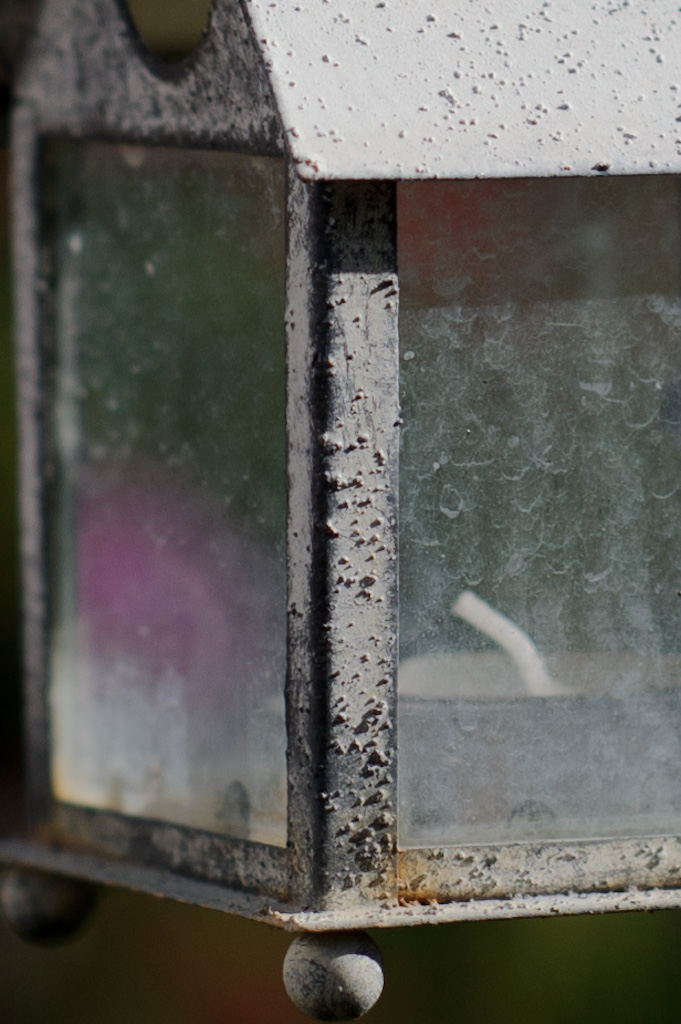 AF-S 85/1.4G f2.8 (cropped)