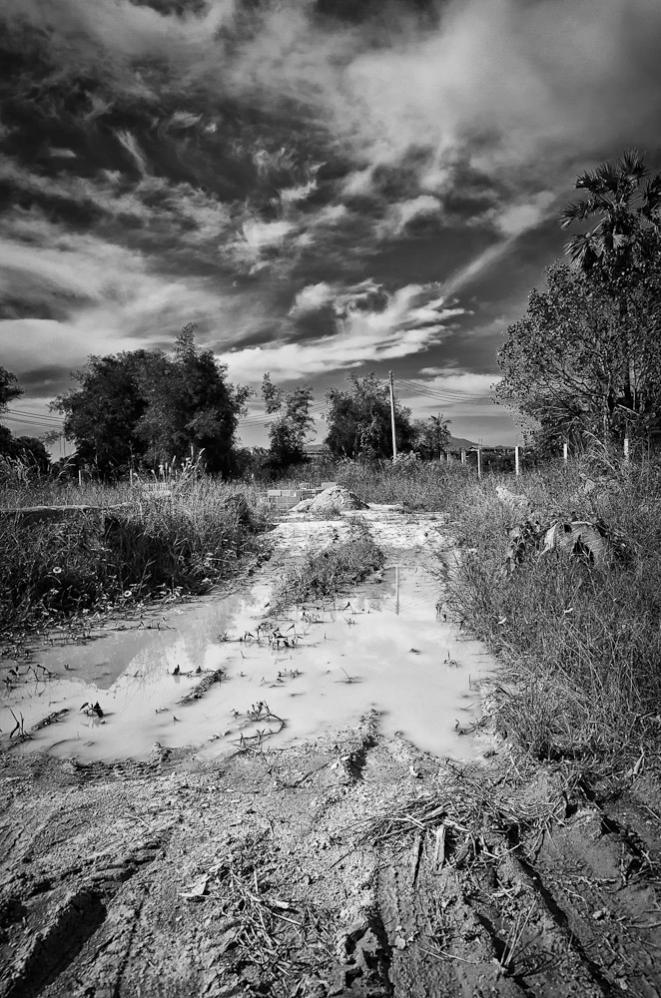 afterrain 1
