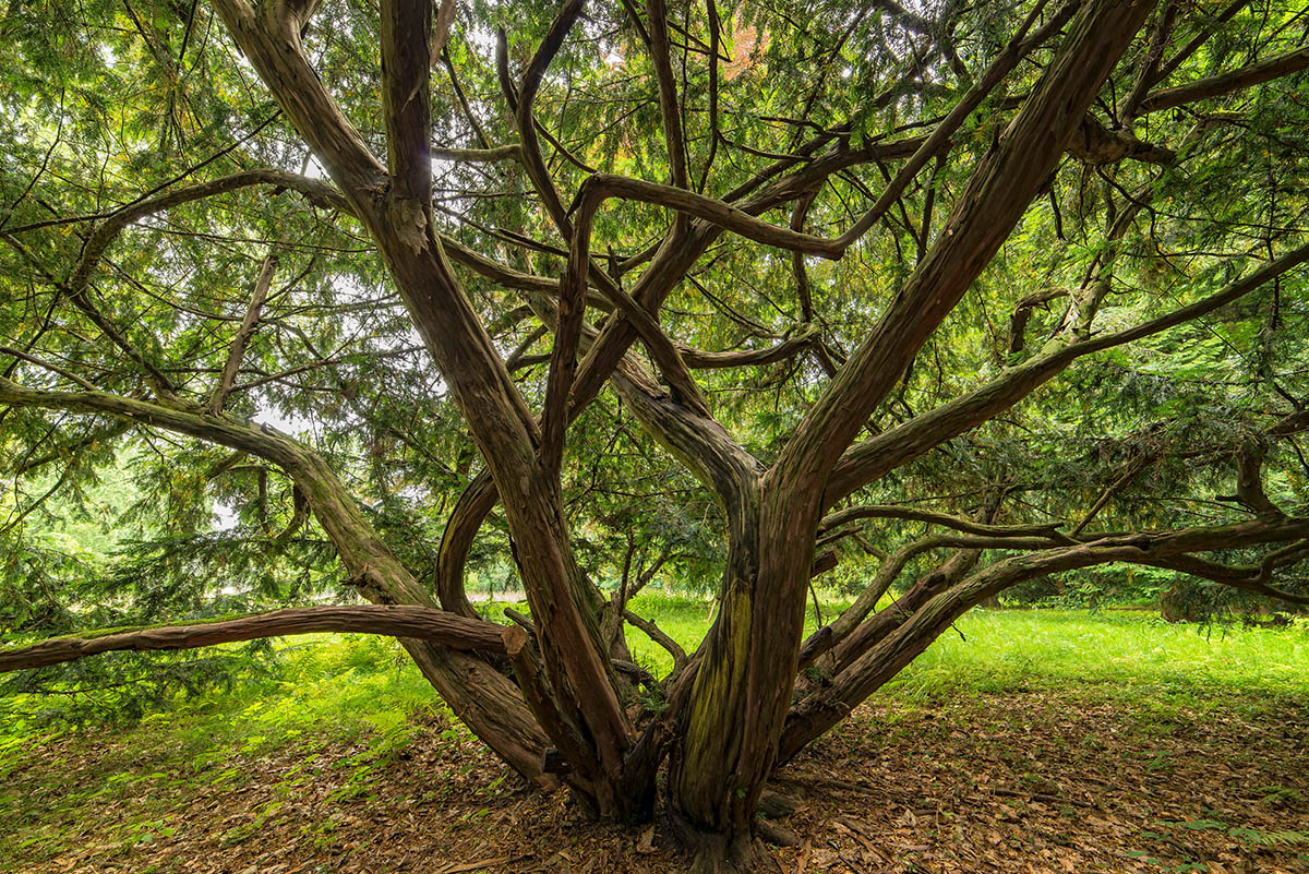 AG1_3575.jpg