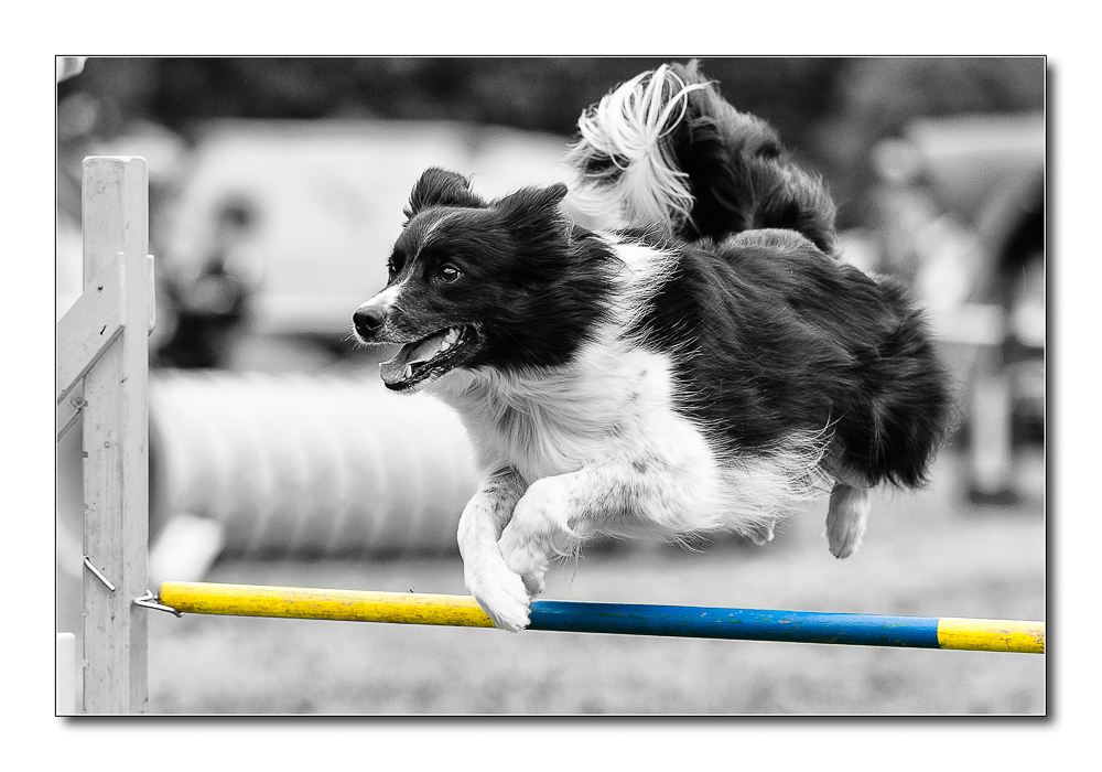 Agility
