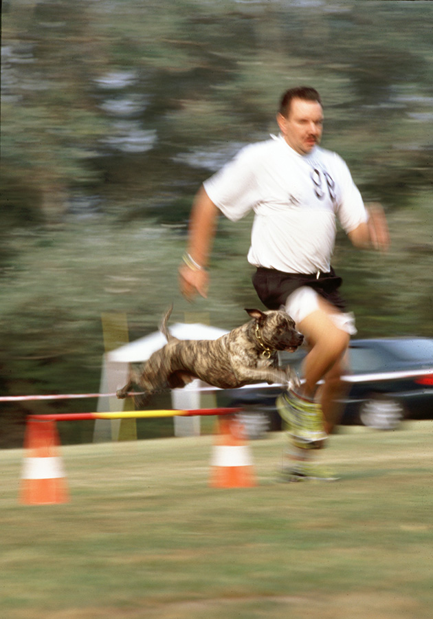 agility