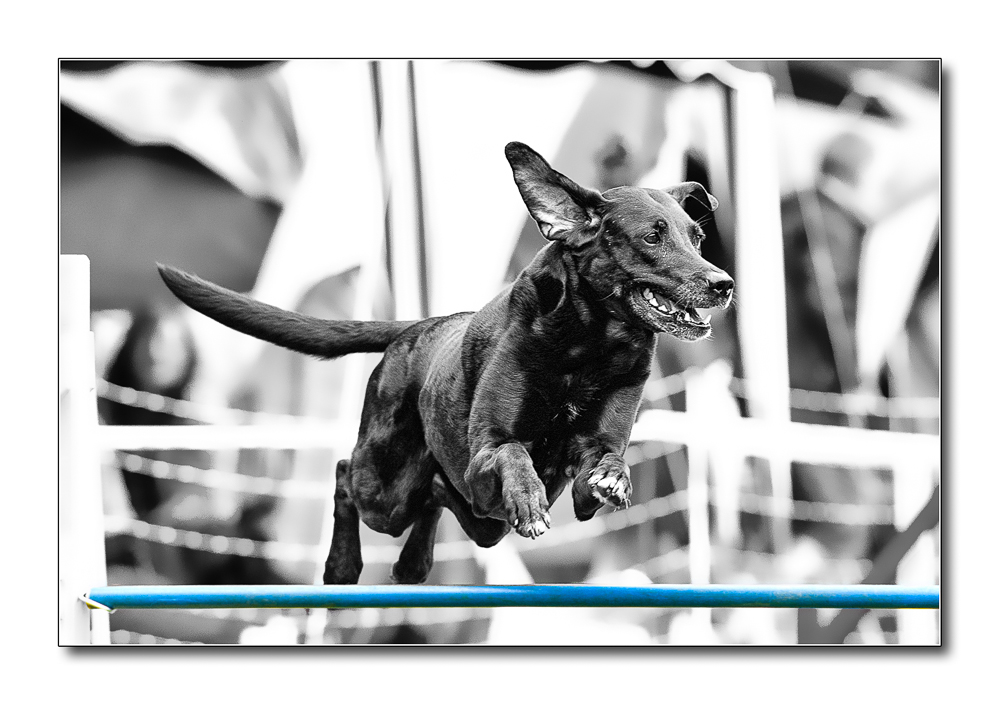 Agility2