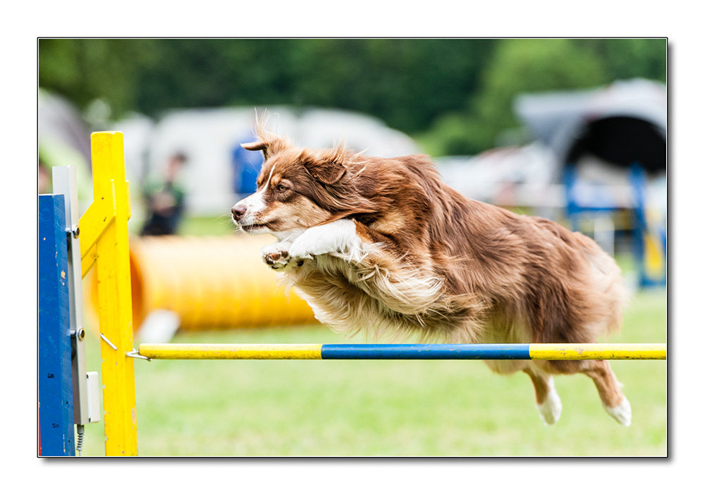 Agility3