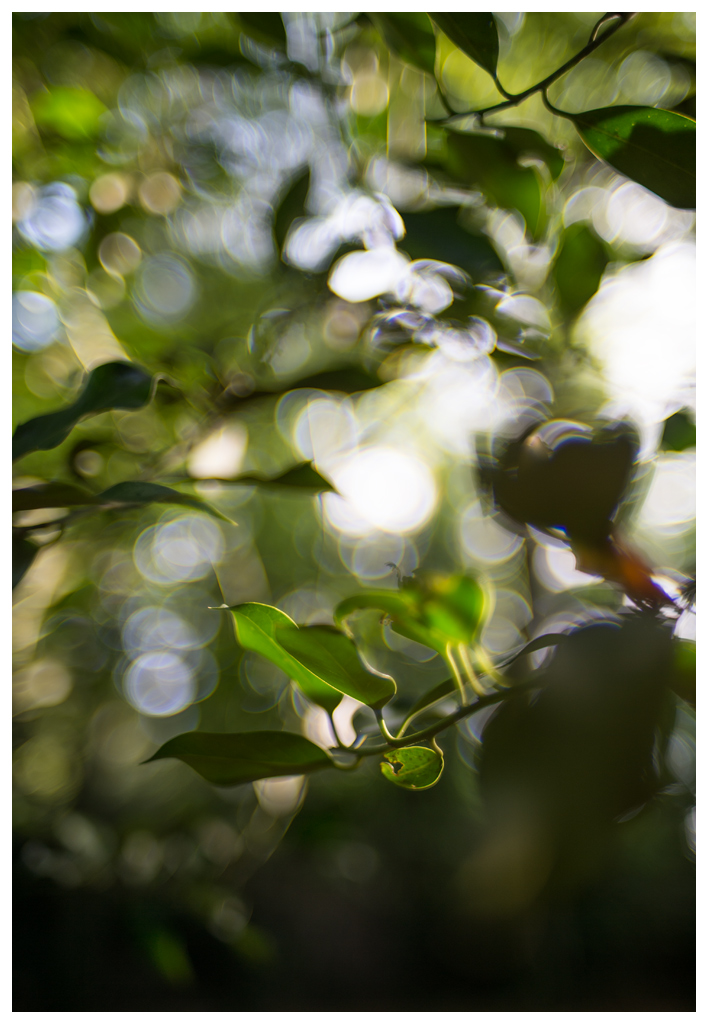 Ais Bokeh