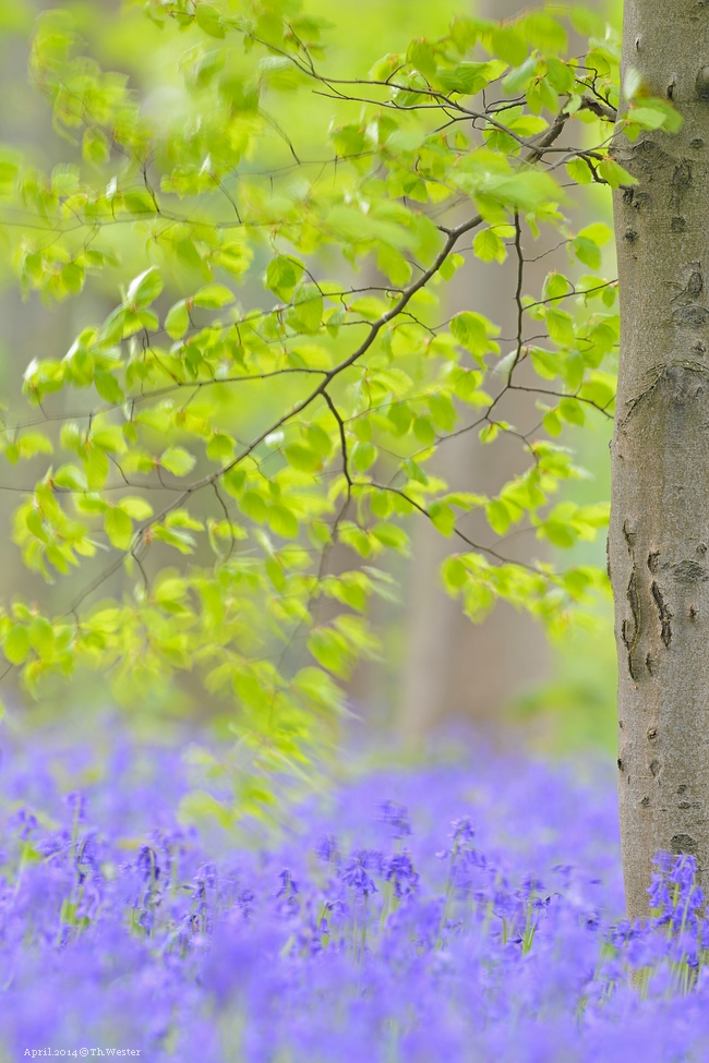 Akt.blau (10)